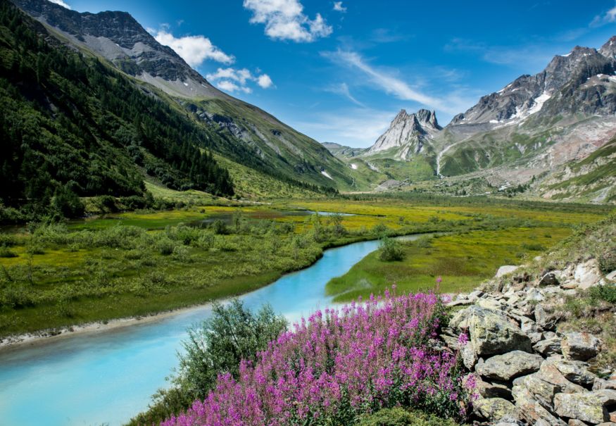 La nature est à vos côtés