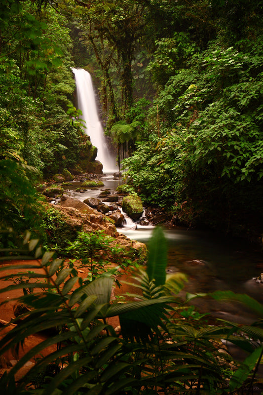cascade dans une forêt tropicale